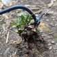 🌿✨ Gardening Hand Weeder Tools👩‍🌾BUY 2 GET 1 Free
