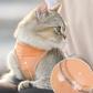 🔥Last Day Promotion 60% OFF🔥🔥One Piece Vest Leash