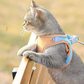 🔥Last Day Promotion 60% OFF🔥🔥One Piece Vest Leash