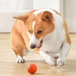 🎉Limited-time offer up to 49% off 🐶 Automatic Smart Teasing Dog Ball, Bite-Proof