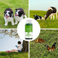🔥🎉 Father's Day Sale: 50% OFF! 🌱Green grass and damage to protect lawn spray