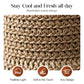 👒New Arrival 60% OFF!🌞Elegant Woven Straw Sun Hat with Bow