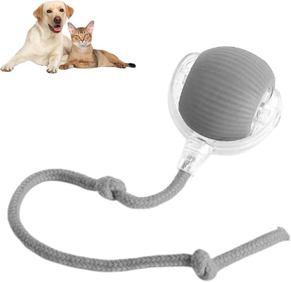 🔥New year Hot Sale 60% OFF 🎁Pet Spin Kit