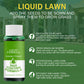 🔥🎉 Father's Day Sale: 50% OFF! 🌱Green grass and damage to protect lawn spray