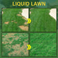 🔥🎉 Father's Day Sale: 50% OFF! 🌱Green grass and damage to protect lawn spray