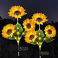 🔥Hot Sale🌻50K+ SOLD! 🎁✨Sunflower Solar Garden Stake Led Lights