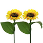 🔥Hot Sale🌻50K+ SOLD! 🎁✨Sunflower Solar Garden Stake Led Lights