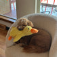 😍Super Cute Companion Quack-Quack Duck Dog Toy🐶