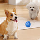 🎉Limited-time offer up to 49% off 🐶 Automatic Smart Teasing Dog Ball, Bite-Proof