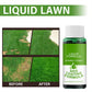 🔥🎉 Father's Day Sale: 50% OFF! 🌱Green grass and damage to protect lawn spray
