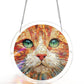 🔥LAST DAY 60% OFF ☀️🛍️Acrylic Jigsaw Puzzle Suncatcher 83 Pieces