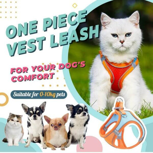 🔥Last Day Promotion 60% OFF🔥🔥One Piece Vest Leash