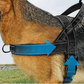 🔥LAST DAY SALE!!🏆✨Heavy-Duty Tactical Dog Harness with Handle🐕