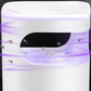 🦟50% OFF NOW!☀️UV Fly Trap with Transparent Catch Box – Odorless, chemical-free & effective for indoor pest control🏠