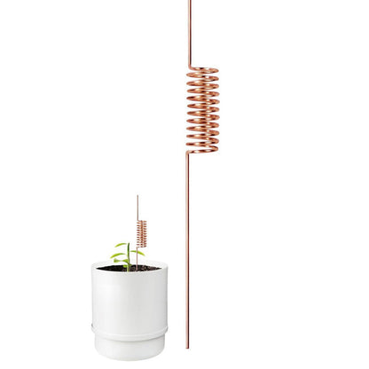 🔥Summer Hot Sale 70% Off🔥Copper Spiral Antenna Plant Stakes