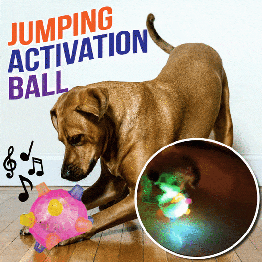 💥Hot Sale 49% OFF💥Jumping Activation Ball For Dogs & Cats