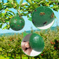 🔥Last Day Promotion 50% OFF🔥Hanging Environmental Fruit Fly Traps Sticky Traps