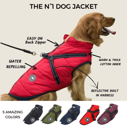 Doggy 3 in 1 Jacket