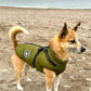 Doggy 3 in 1 Jacket